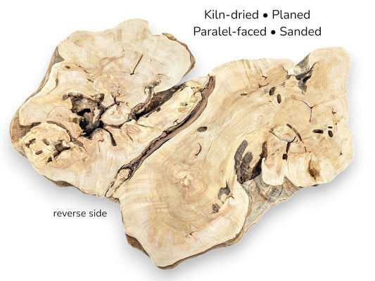 The reverse side of a prepared weeping willow root slice, with preparation details listed.