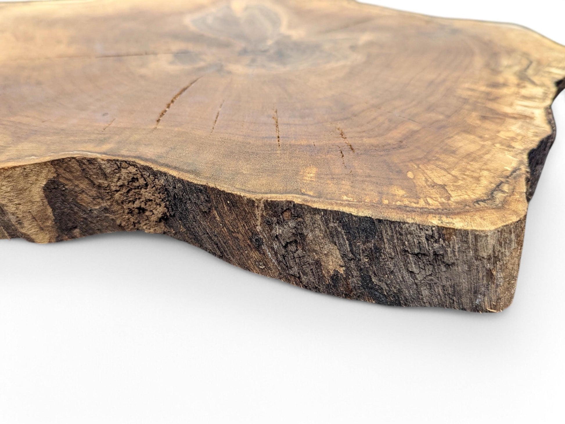 Irregular walnut wood slice displays prominent growth rings, natural cracks, and rough bark along its edge.