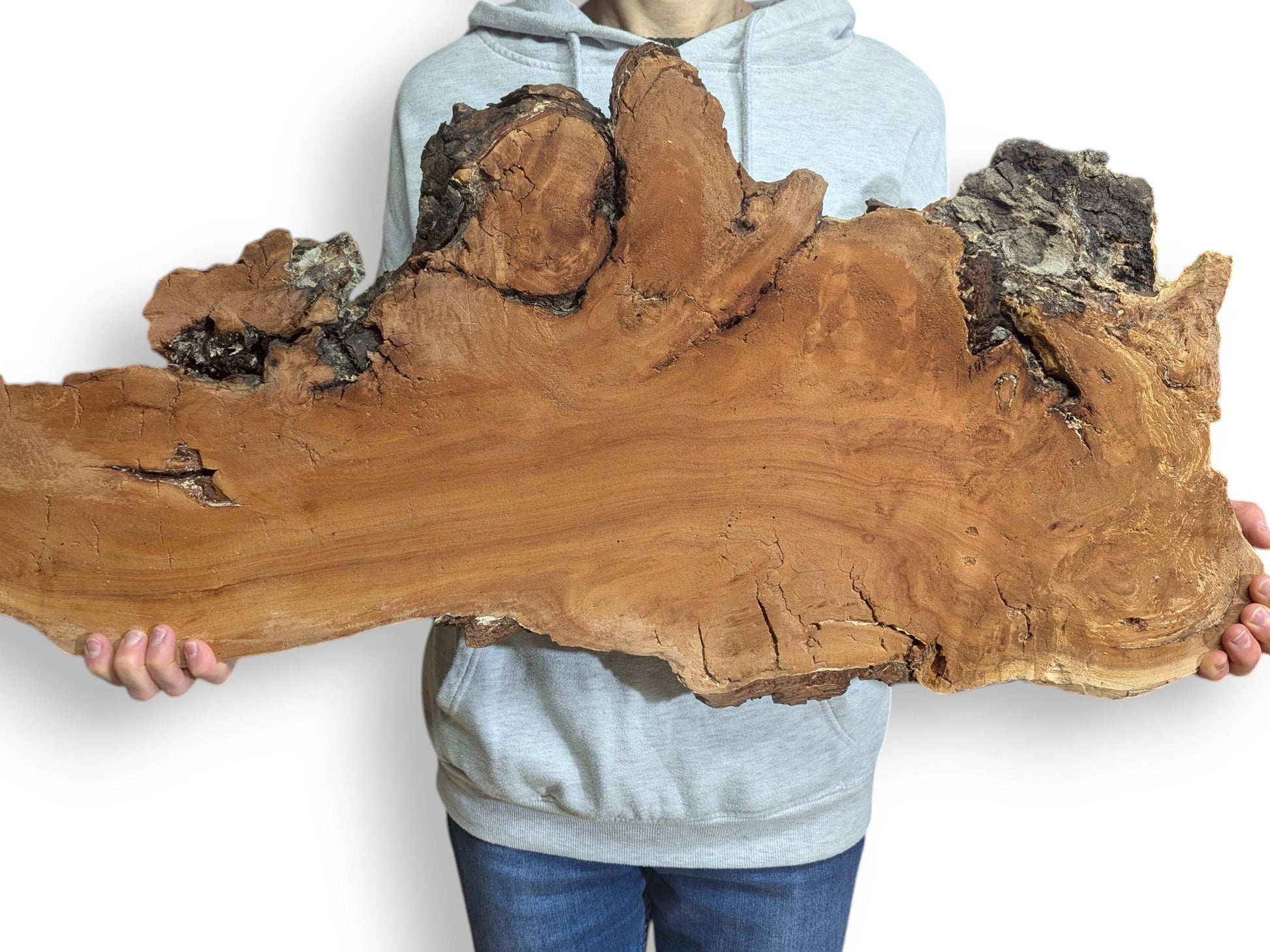 Person holds a large, irregular weeping willow wood slice, showing reddish-brown grain, dark bark, and distressed texture.