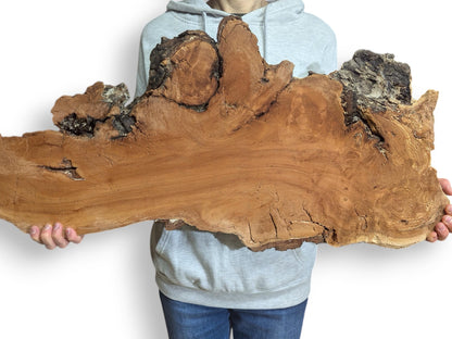 Person holds a large, irregular weeping willow wood slice, showing reddish-brown grain, dark bark, and distressed texture.