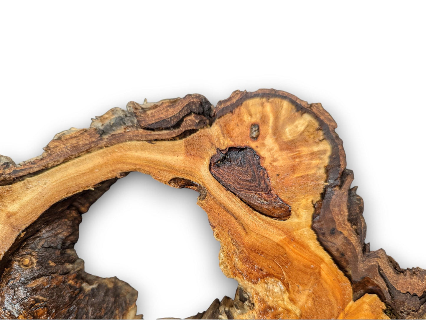 This irregular weeping willow wood slice displays rough, decay-like texture, a central void, and varying brown colors.