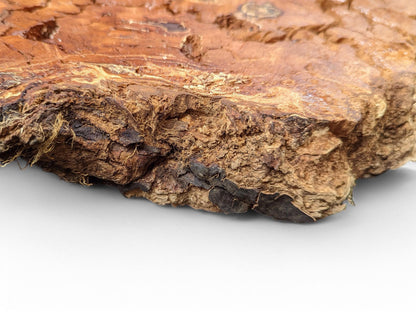 A section of weeping willow wood slab displays varied brown tones and rugged, deeply textured edges.