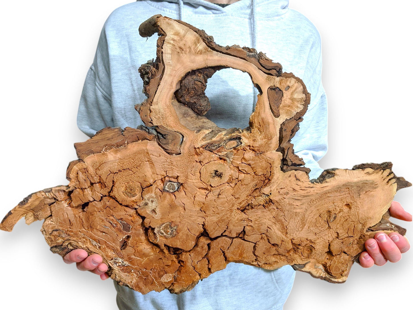 Irregular, rough, decay-like textured reddish-brown willow wood slab with a hole, held by a person.