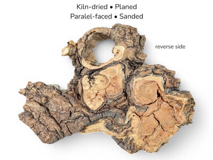 A flat lay of a craggy willow burl with a large void and fissured knots.