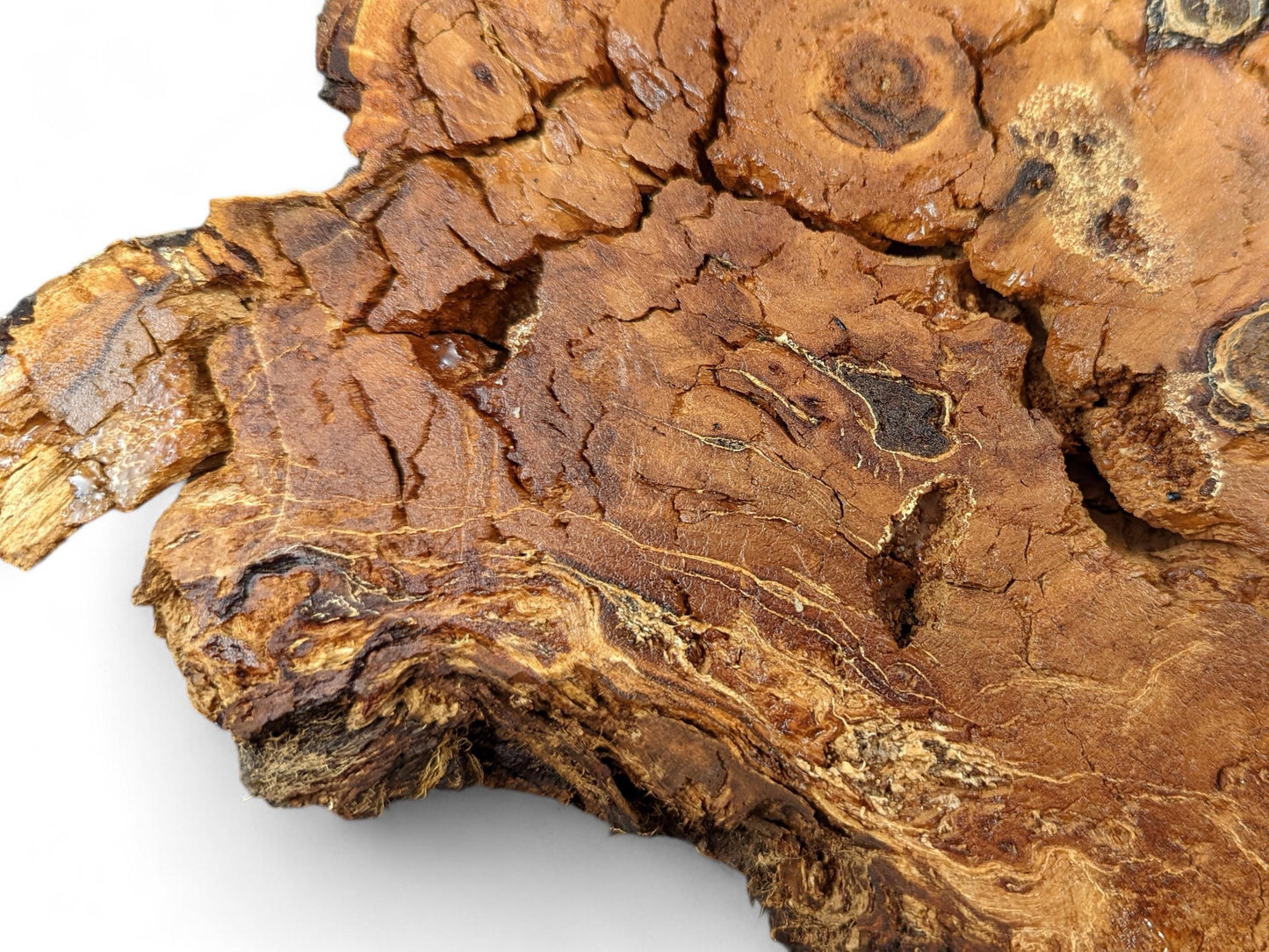 Close-up of an irregular, reddish-brown weeping willow wood slab with a rough, decay-like texture.