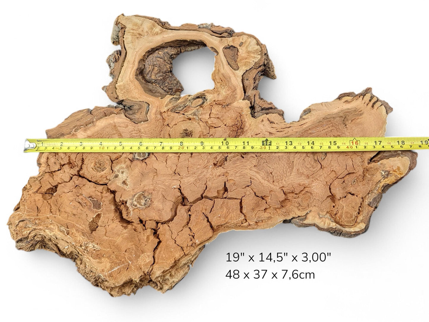 Irregular weeping willow wood slab shows a central void, deeply cracked texture, yellow measuring tape, and dimensions.
