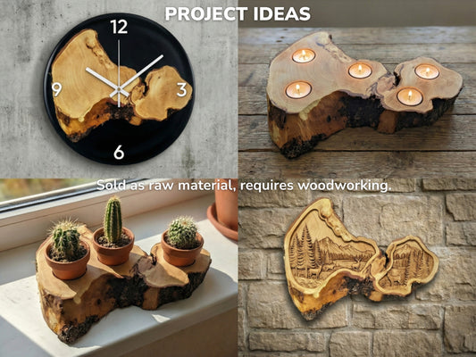 Collage shows project ideas: a live edge wood slice clock, candle holder, planter, and carving.
