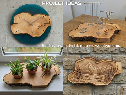 Collage displaying project ideas for wood slices: a clock, jewelry stand, plant tray, and carved landscape.