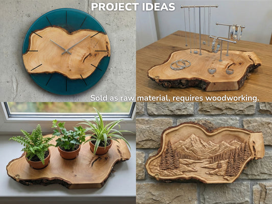 Collage displaying project ideas for wood slices: a clock, jewelry stand, plant tray, and carved landscape.
