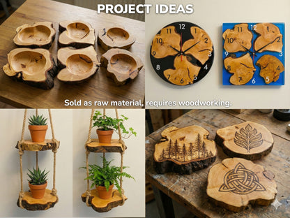 A four-panel collage shows finished wood slice crafts: bowls, clocks, shelves, and burned art.