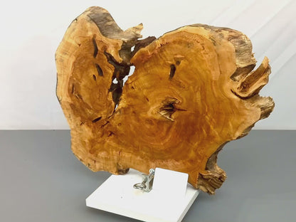 Live Edge Weeping Willow Tree Root Wood Slice for Epoxy Resin Projects or Natural DIY Home Decor #013