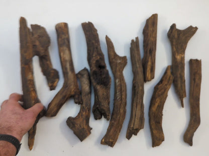Lot Of Weathered Old Forest Branches Rustic Barkless Raw Wood Sticks For Crafting Materials #045