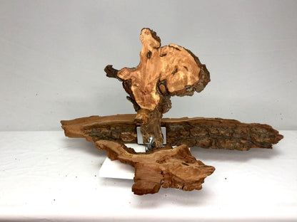 Ultra Lightweight Willow Wood Slice and Extremely Fragile, Retains Wood's Natural Character Despite Decay-Like Texture #005