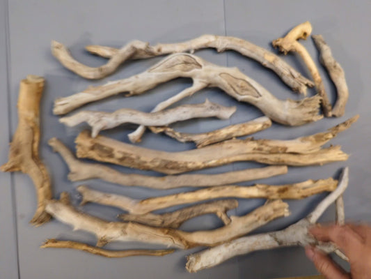 Natural Driftwood Sticks - Mixed Weathered Branches for Craft Projects, Aquarium, Terrarium or Beach, Coastal Home Decor #038