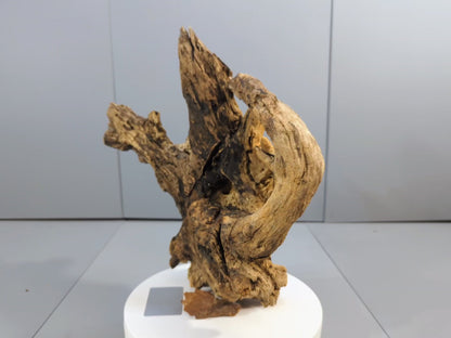 Rustic Decor Forest Driftwood – Weathered Burl Root Sculpture, Aged Wood Accent for Conservatory Display, Craft Projects, Terrarium #029