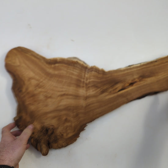 PT-008 | PT-008 (1).mp4