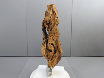 Natural Weathered Wood Sculpture – Hollow Textured Driftwood with Organic Cavities – Rustic Wall or Shelf Decor #017