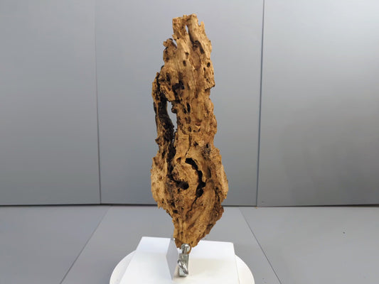Natural Weathered Wood Sculpture – Hollow Textured Driftwood with Organic Cavities – Rustic Wall or Shelf Decor #017