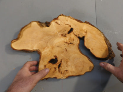 Irregular Live Edge Linden Wood Slice Slab For Resin Art Wall Clock Making Projects #018