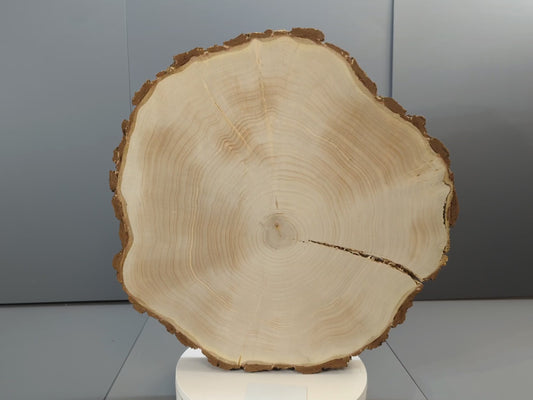 Rustic Live Edge Wood Round with Bark, Natural Tree Slice, End Grain Wood Cookie, Log Disc for Crafts, Home Decor #005