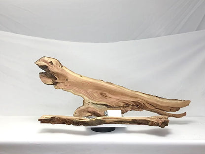 Live Edge Honey Locust Root Slice for Epoxy Resin Project or Natural DIY Home Decor 2 Pcs