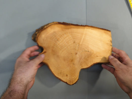 Live Edge Linden/Lime Root Wood Slice for Epoxy Resin Project or Natural Rustic DIY Home Decor #013