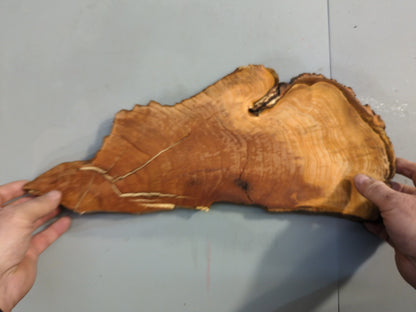 Wild Cherry Wood Slice Live Edge Slab for Epoxy Resin Art Projects #011