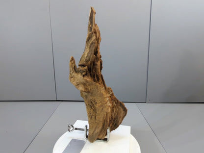 Natural Driftwood Sculpture – Organic Forest Wood Decor – Unique Weathered Log for Rustic Home Display #015
