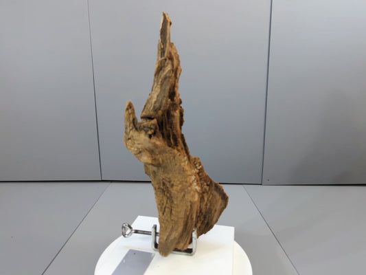 Natural Driftwood Sculpture – Organic Forest Wood Decor – Unique Weathered Log for Rustic Home Display #015