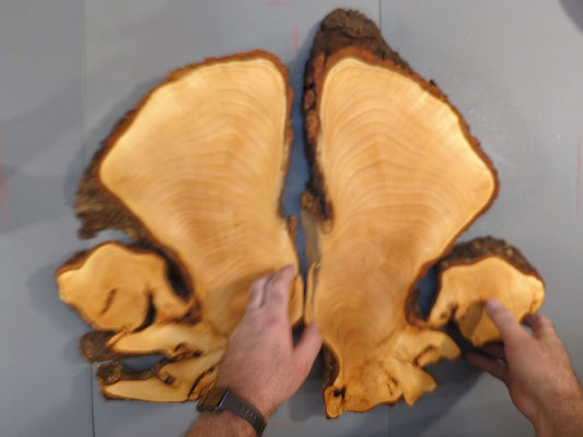 Rare Linden Root Slices, Bookmatched Basswood Burl, Live Edge Wood Slab for Epoxy Resin Art, Rustic Woodworking Material, Dried Lime Tree #015