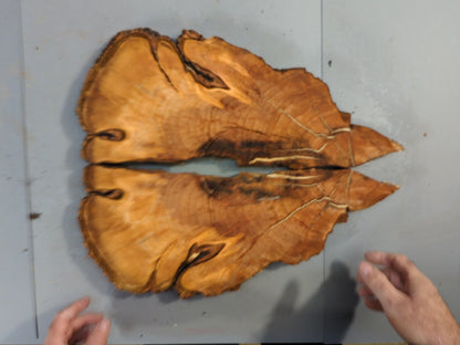 Bookmatched Wild Cherry Slice Set, Live Edge Wood for Resin Table Clock Wall Art #010