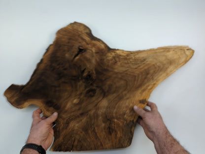 Walnut Wood Slab | Live Edge Tree Slice | Resin Art Wood | Small Side Table Top #032