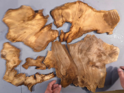 Mixed 0.39 inch Thin Raw Wood Slices, Live Edge, for Resin Crafts, Mini Displays, Handmade Projects, Carving or Woodburning #005