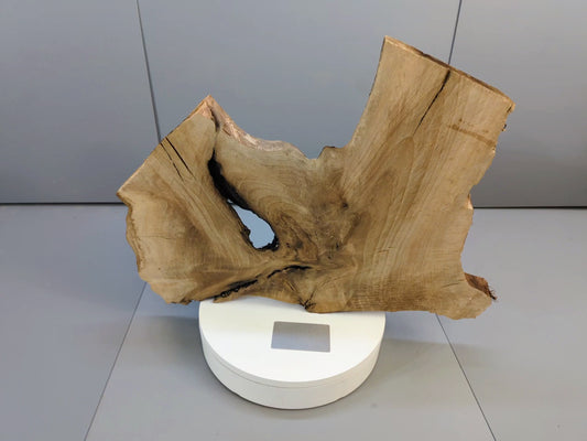 Live Edge English Walnut Root Wood Slice for Epoxy Resin Project or Natural Rustic Home Decor #028