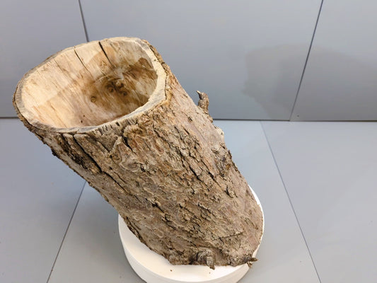 Rustic Hollow Wood Log • Terrarium Hideout • Natural Tree Trunk Vase • Organic Home Decor • Garden Container • Woodland Centerpiece #008