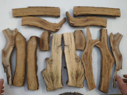 Halved Old Forest Branches Split Natural Edge Wood Pieces Rustic Unfinished Timber Assorted Bundle #048