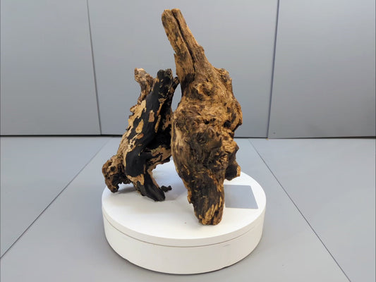Natural Charred Driftwood Pair – Organic Wood Shapes with High-Contrast Grain for Rustic or Coastal Home Decor #022