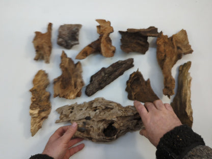 Small Aged Forest Driftwood Pieces Natural Weathered Raw Wood Chunks With Organic Textured Shapes #049
