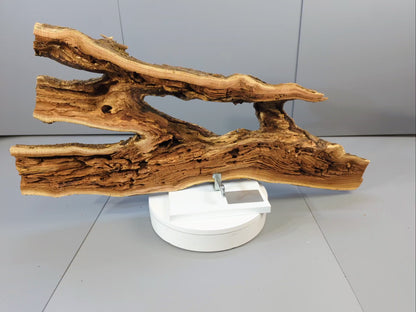 Natural Twin-Opening Driftwood Sculpture – Bark-Edged Split Log with Raw Interior Grain – Rustic Organic Wall or Shelf Decor #019