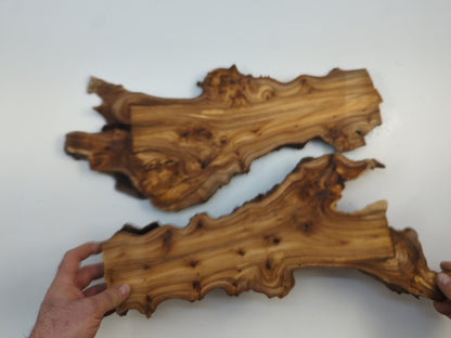 Hardwood Live Edge Slab Set For Resin Art, Wall Decor, Rustic Tree Root Slices #008