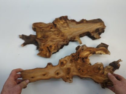 Hardwood Live Edge Slab Set For Resin Art & Wall Decor, Rustic Tree Root Slices #007