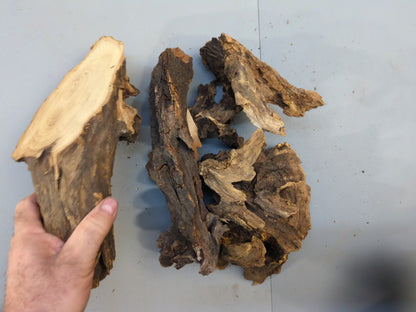 Natural Wood Blank, Aged Forest Wood, Perfect for Rustic DIY Projects, Home Decor, or Unique Crafting Needs #037