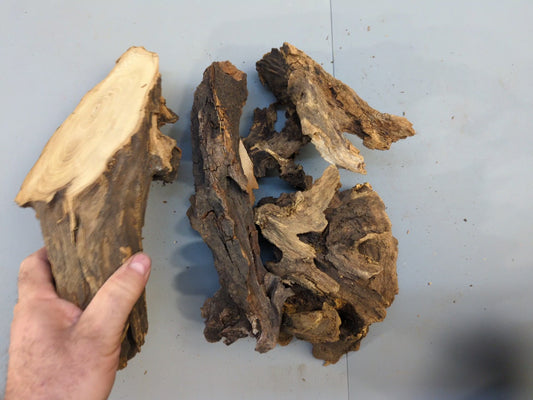 Natural Wood Blank, Aged Forest Wood, Perfect for Rustic DIY Projects, Home Decor, or Unique Crafting Needs #037