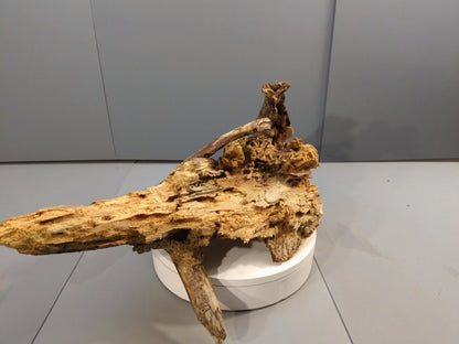 Eroded Natural Root Wood Sculpture, Distressed Driftwood Art Centerpiece for Terrarium or Rustic Home Decor #042