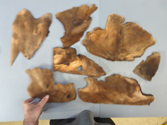 Veneer-like Mixed Raw Wood Slices, Live Edge Pieces for Epoxy Resin Crafts, Mini Displays, Handmade Art Projects, Carving, Woodburning #003