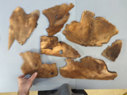 Veneer-like Mixed Raw Wood Slices, Live Edge Pieces for Epoxy Resin Crafts, Mini Displays, Handmade Art Projects, Carving, Woodburning #003