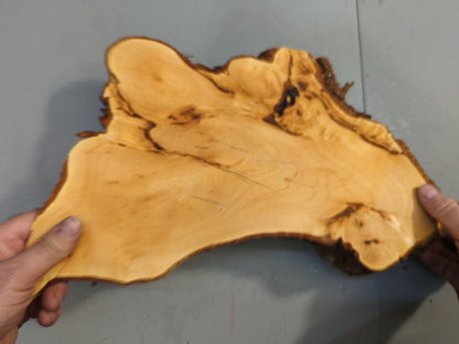 Linden Wood Slice Live Edge Slab For Resin Casting And Organic Rustic Home Decor #020