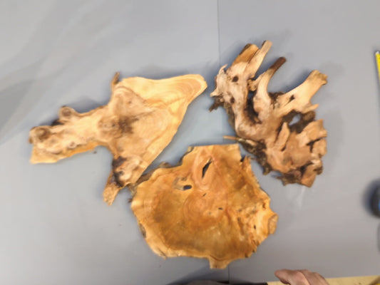 Mixed Raw Wood Slices, Live Edge Unfinished Pieces for Epoxy Resin Crafts, Mini Displays, Handmade Art Projects, Carving or Woodburning #002