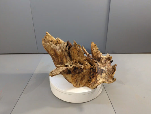 Jagged Distressed Driftwood Sculpture, Natural Root Wood Art Centerpiece, Unique Terrarium Feature or Rustic Decor #041