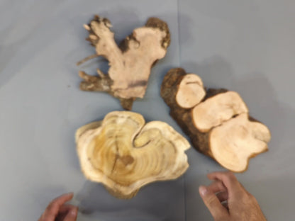 Mixed Raw Wood Slices, Live Edge Unfinished Pieces for Epoxy Resin Crafts, Mini Displays, Handmade Art Projects, Carving or Woodburning #001